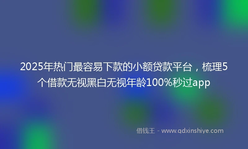 2025年热门最容易下款的小额贷款平台，梳理5个借款无视黑白无视年龄100%秒过app