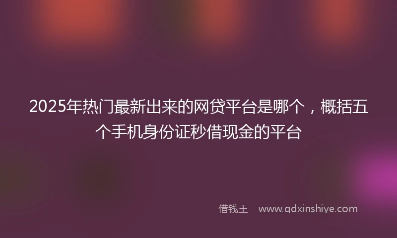 2025年热门最新出来的网贷平台是哪个，概括五个手机身份证秒借现金的平台