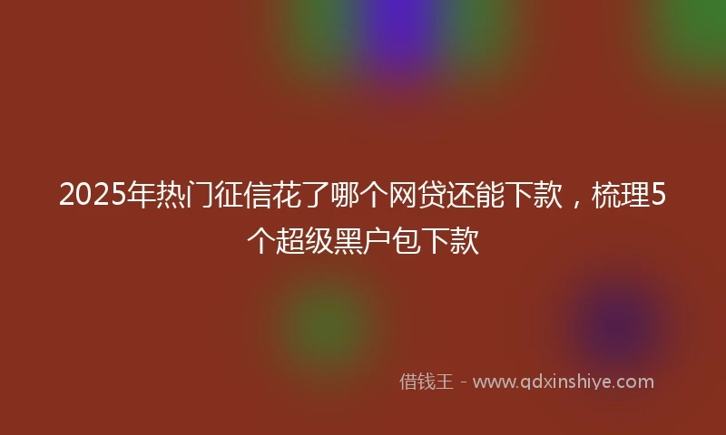 2025年热门征信花了哪个网贷还能下款，梳理5个超级黑户包下款