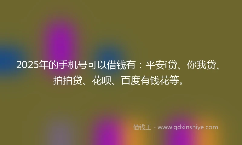 2025年的手机号可以借钱有：平安i贷、你我贷、拍拍贷、花呗、百度有钱花等。