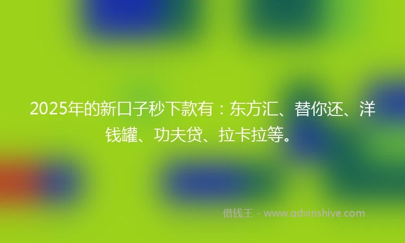2025年的新口子秒下款有：东方汇、替你还、洋钱罐、功夫贷、拉卡拉等。