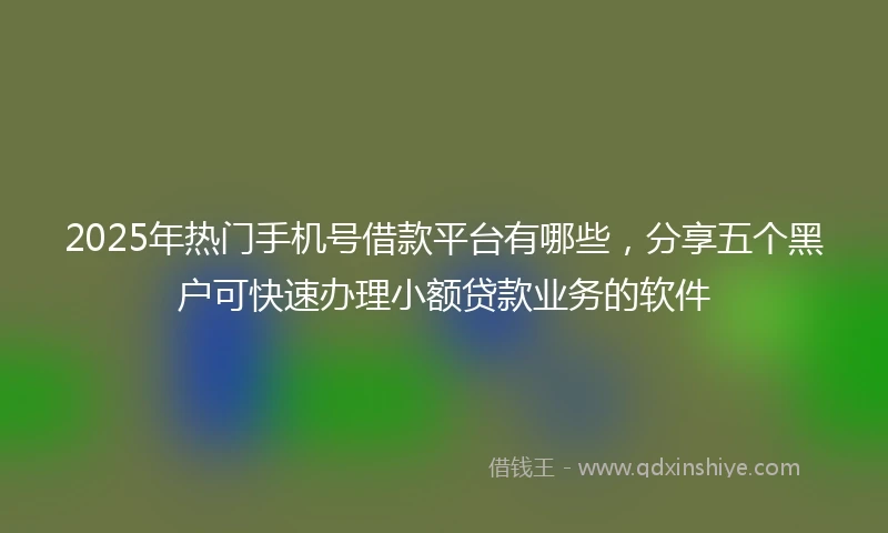 2025年热门手机号借款平台有哪些，分享五个黑户可快速办理小额贷款业务的软件