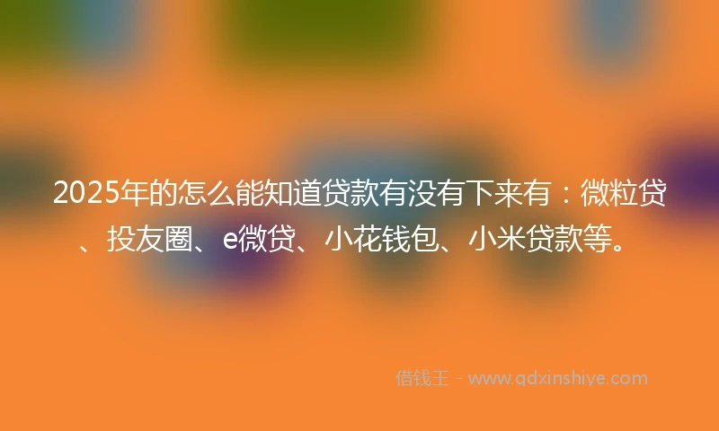 2025年的怎么能知道贷款有没有下来有：微粒贷、投友圈、e微贷、小花钱包、小米贷款等。