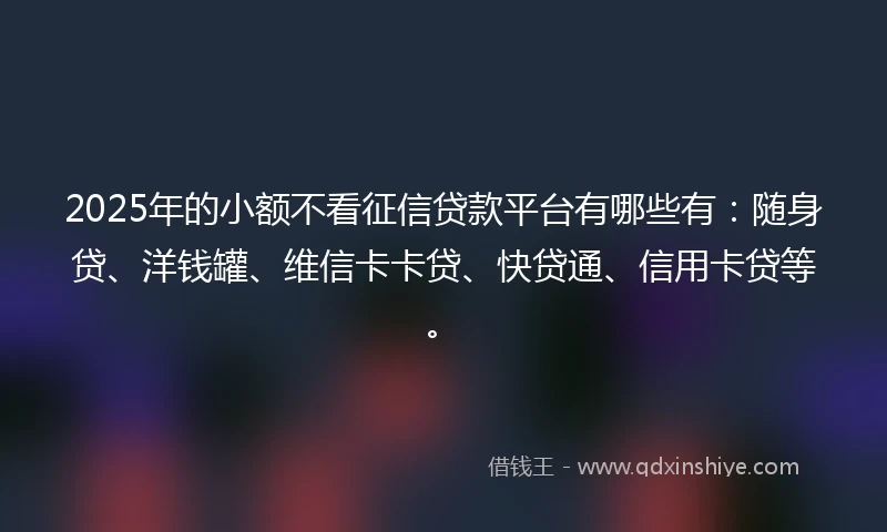2025年的小额不看征信贷款平台有哪些有：随身贷、洋钱罐、维信卡卡贷、快贷通、信用卡贷等。