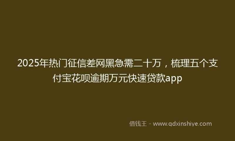 2025年热门征信差网黑急需二十万，梳理五个支付宝花呗逾期万元快速贷款app