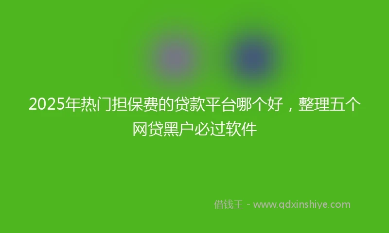 2025年热门担保费的贷款平台哪个好，整理五个网贷黑户必过软件