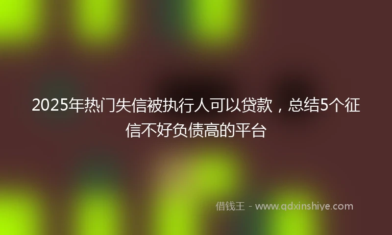 2025年热门失信被执行人可以贷款，总结5个征信不好负债高的平台