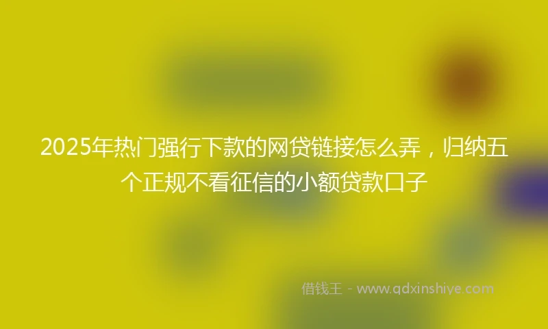 2025年热门强行下款的网贷链接怎么弄，归纳五个正规不看征信的小额贷款口子