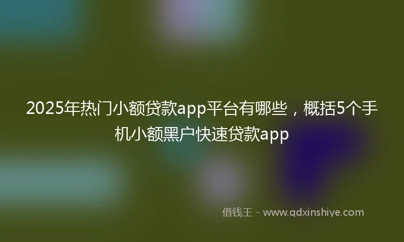 2025年热门小额贷款app平台有哪些，概括5个手机小额黑户快速贷款app
