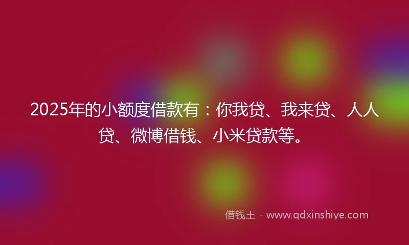 2025年的小额度借款有：你我贷、我来贷、人人贷、微博借钱、小米贷款等。