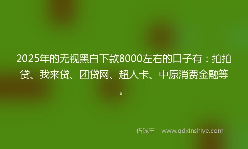 2025年的无视黑白下款8000左右的口子有：拍拍贷、我来贷、团贷网、超人卡、中原消费金融等。