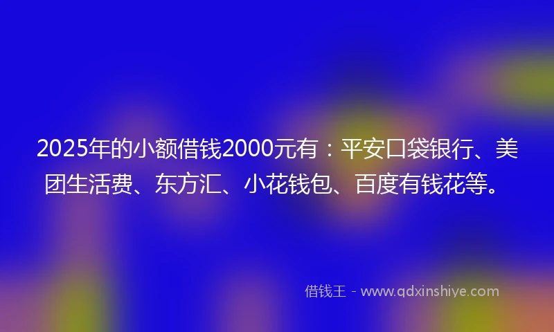 2025年的小额借钱2000元有：平安口袋银行、美团生活费、东方汇、小花钱包、百度有钱花等。