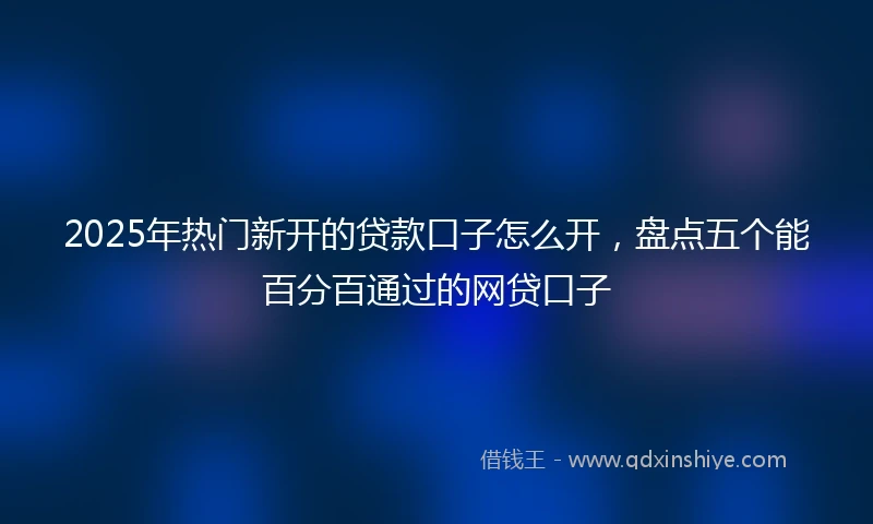 2025年热门新开的贷款口子怎么开，盘点五个能百分百通过的网贷口子
