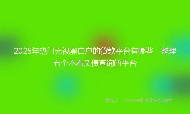 2025年热门无视黑白户的贷款平台有哪些，整理五个不看负债查询的平台