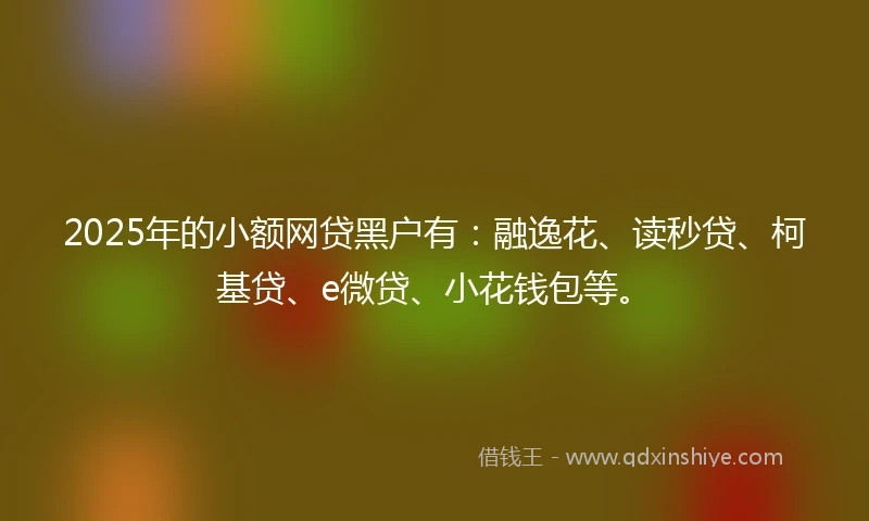 2025年的小额网贷黑户有：融逸花、读秒贷、柯基贷、e微贷、小花钱包等。