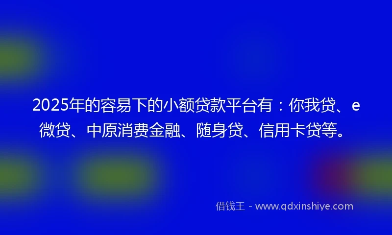 2025年的容易下的小额贷款平台有：你我贷、e微贷、中原消费金融、随身贷、信用卡贷等。