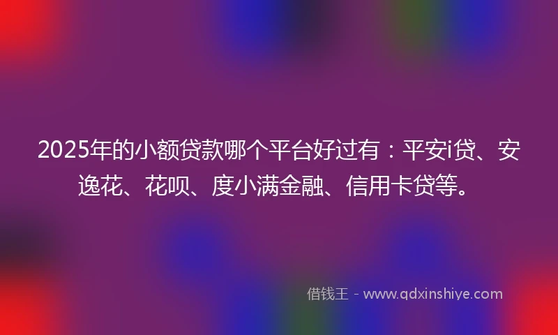 2025年的小额贷款哪个平台好过有：平安i贷、安逸花、花呗、度小满金融、信用卡贷等。