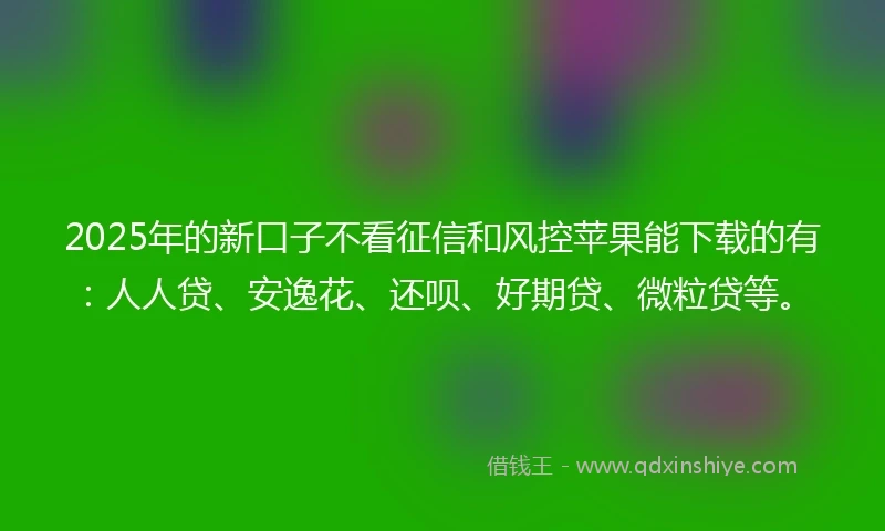 2025年的新口子不看征信和风控苹果能下载的有：人人贷、安逸花、还呗、好期贷、微粒贷等。