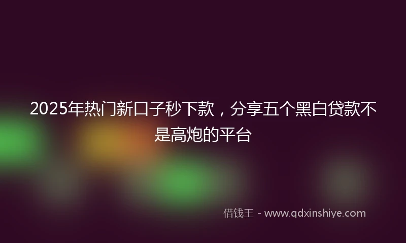 2025年热门新口子秒下款，分享五个黑白贷款不是高炮的平台