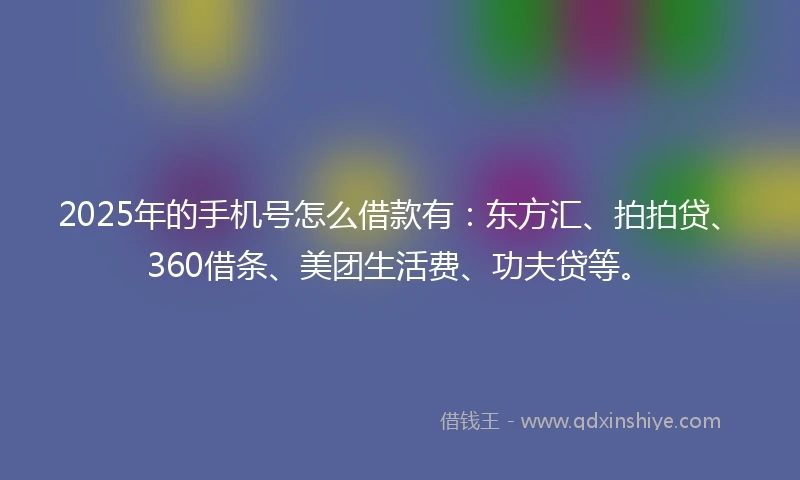 2025年的手机号怎么借款有：东方汇、拍拍贷、360借条、美团生活费、功夫贷等。