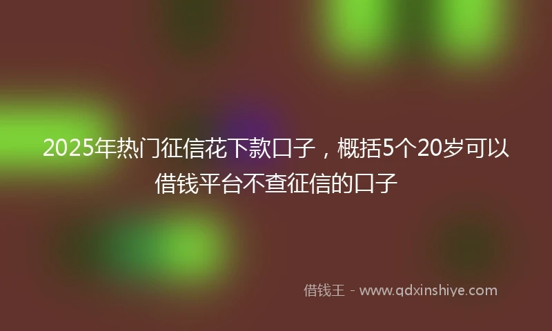 2025年热门征信花下款口子，概括5个20岁可以借钱平台不查征信的口子