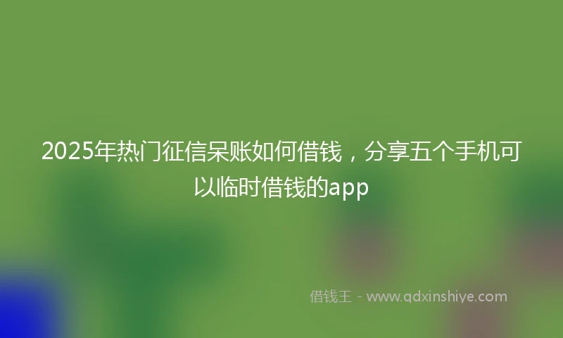 2025年热门征信呆账如何借钱，分享五个手机可以临时借钱的app