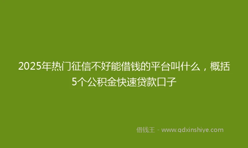 2025年热门征信不好能借钱的平台叫什么，概括5个公积金快速贷款口子