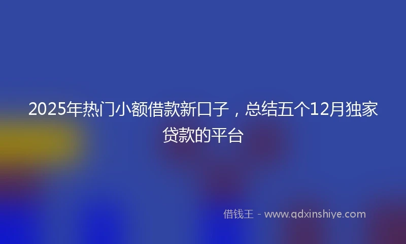 2025年热门小额借款新口子，总结五个12月独家贷款的平台