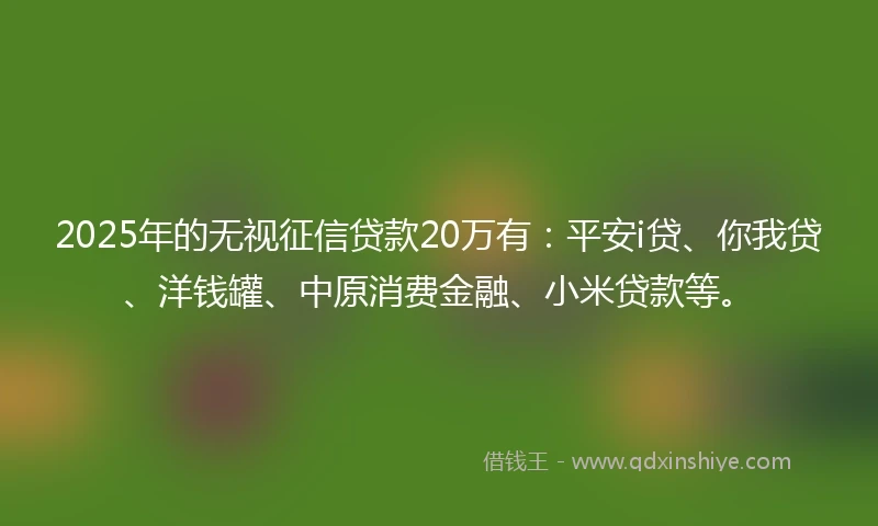 2025年的无视征信贷款20万有：平安i贷、你我贷、洋钱罐、中原消费金融、小米贷款等。
