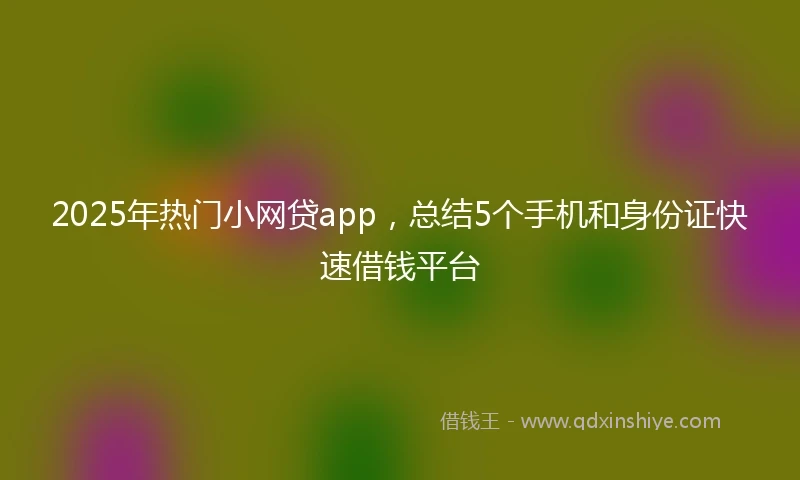 2025年热门小网贷app，总结5个手机和身份证快速借钱平台