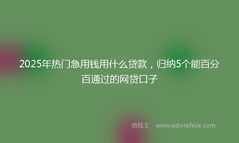 2025年热门急用钱用什么贷款，归纳5个能百分百通过的网贷口子