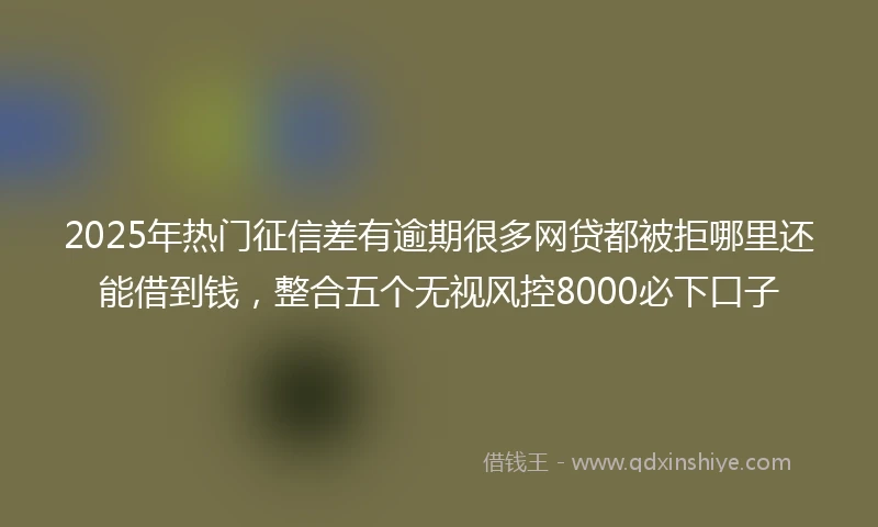 2025年热门征信差有逾期很多网贷都被拒哪里还能借到钱，整合五个无视风控8000必下口子