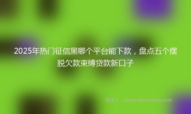 2025年热门征信黑哪个平台能下款，盘点五个摆脱欠款束缚贷款新口子
