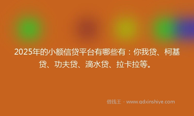 2025年的小额信贷平台有哪些有：你我贷、柯基贷、功夫贷、滴水贷、拉卡拉等。