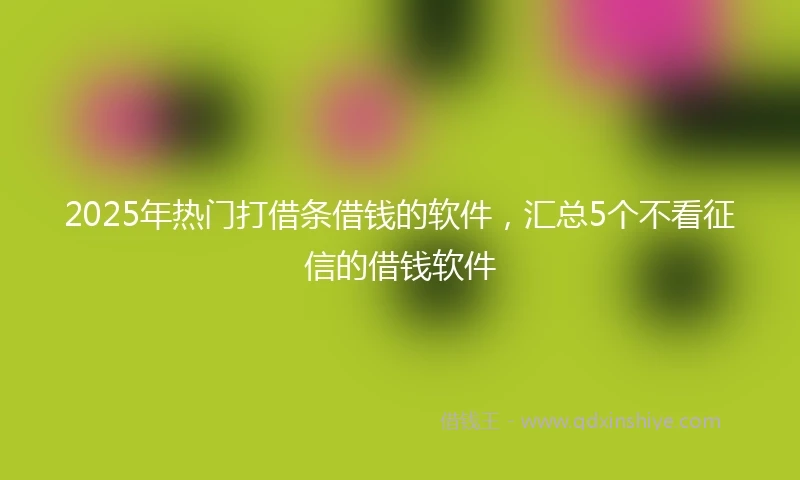 2025年热门打借条借钱的软件，汇总5个不看征信的借钱软件