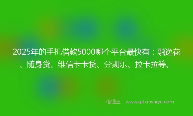 2025年的手机借款5000哪个平台最快有：融逸花、随身贷、维信卡卡贷、分期乐、拉卡拉等。
