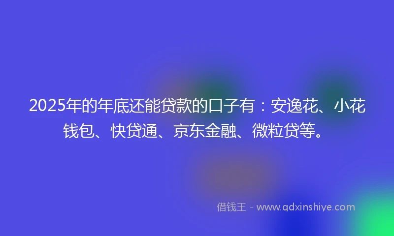2025年的年底还能贷款的口子有:安逸花、小花钱包、快贷通、京东金融、微粒贷等。