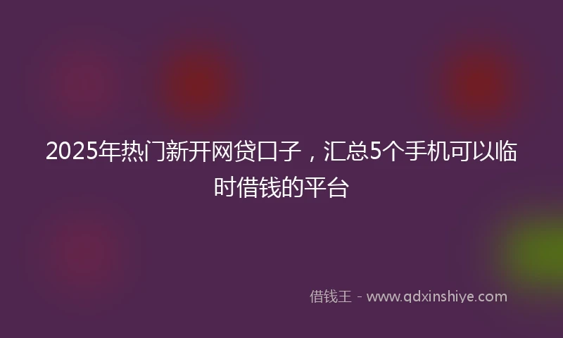 2025年热门新开网贷口子，汇总5个手机可以临时借钱的平台