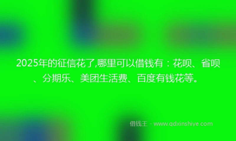 2025年的征信花了,哪里可以借钱有：花呗、省呗、分期乐、美团生活费、百度有钱花等。