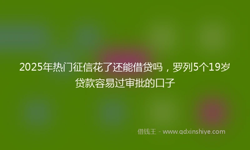 2025年热门征信花了还能借贷吗，罗列5个19岁贷款容易过审批的口子