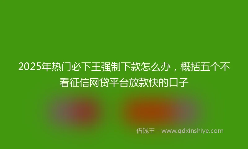 2025年热门必下王强制下款怎么办，概括五个不看征信网贷平台放款快的口子