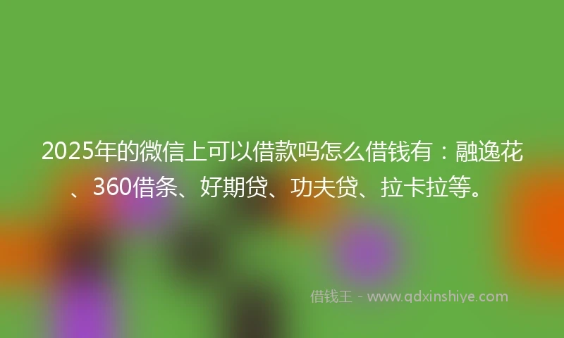 2025年的微信上可以借款吗怎么借钱有：融逸花、360借条、好期贷、功夫贷、拉卡拉等。