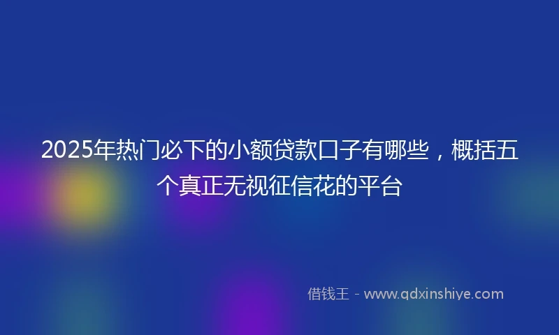 2025年热门必下的小额贷款口子有哪些，概括五个真正无视征信花的平台