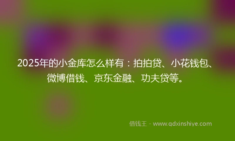 2025年的小金库怎么样有：拍拍贷、小花钱包、微博借钱、京东金融、功夫贷等。
