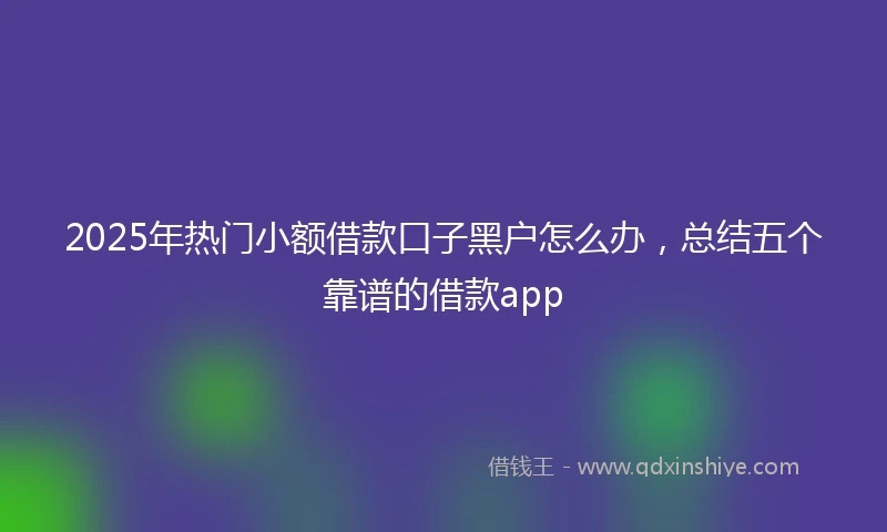 2025年热门小额借款口子黑户怎么办，总结五个靠谱的借款app