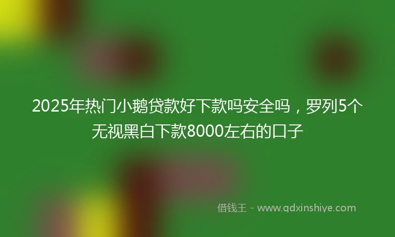 2025年热门小鹅贷款好下款吗安全吗，罗列5个无视黑白下款8000左右的口子