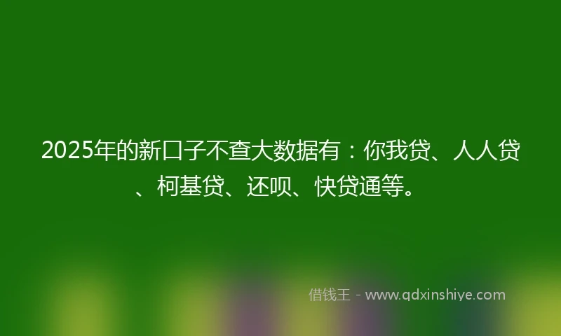 2025年的新口子不查大数据有：你我贷、人人贷、柯基贷、还呗、快贷通等。
