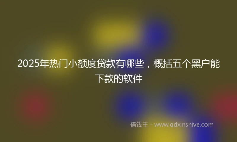 2025年热门小额度贷款有哪些，概括五个黑户能下款的软件