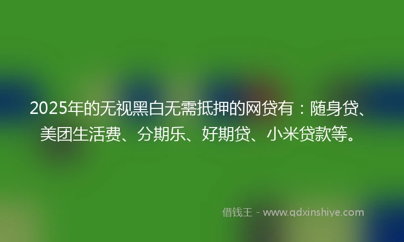 2025年的无视黑白无需抵押的网贷有：随身贷、美团生活费、分期乐、好期贷、小米贷款等。