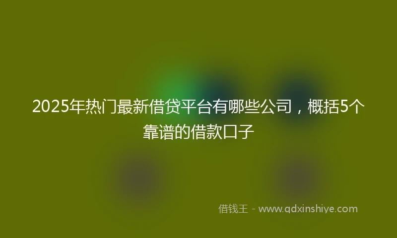 2025年热门最新借贷平台有哪些公司，概括5个靠谱的借款口子